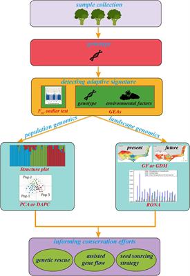 Landscape Genomics in Tree Conservation Under a Changing Environment